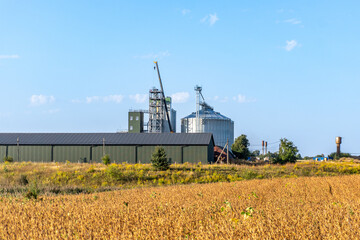 Naklejka premium Harvest time in golden fields near a large grain storage facility on a sunny day with clear blue skies