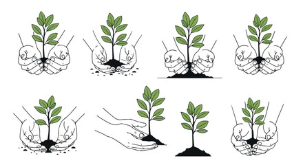Hands holding plant seedlings for growth and care