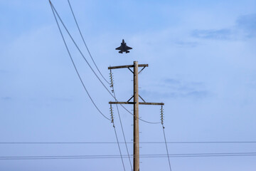 Photograph of a high-powered Jet aircraft flying at speed in regional Australia