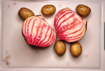 ringelbete, tonda di chioggia