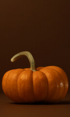 calabaza