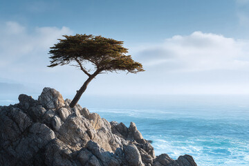 Lone tree clinging to a rocky cliff overlooking a serene ocean. Powerful imagery ideal for themes of resilience, strength, nature, and coastal beauty.