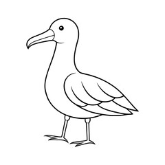 Albatross Outline Line Art Vector Illustration