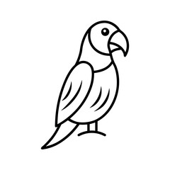 Macaw Outline Line Art Vector Illustration