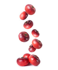 Organic dark red tomatoes falling down close up on a white background