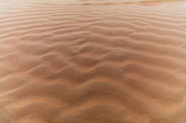 Sand waves on the red dunes in the desert near Dubai at sunrise