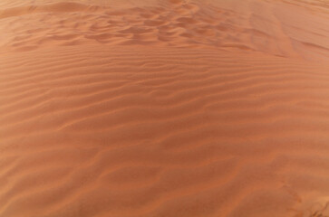 Sand waves on the red dunes in the desert near Dubai at sunrise