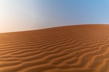 Sand waves on the red dunes in the desert near Dubai at sunrise