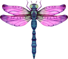 Watercolor dragonfly with vivid pink wings and blue body, painted in a delicate artistic style. Perfect for botanical projects, zen designs, nature decor, patterns, stickers, invitations and branding.