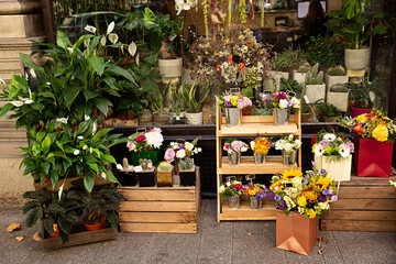 Venta de flores y plantas en florister&iacute;a.