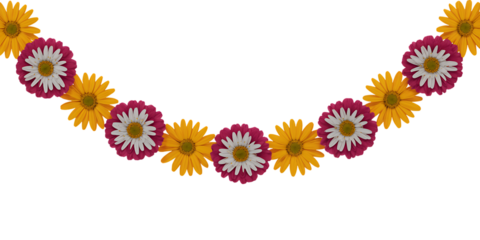 A garland of alternating yellow and white and magenta daisies is strung in an arc against a white background.