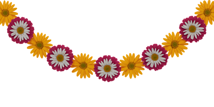A garland of alternating yellow and white and magenta daisies is strung in an arc against a white background.