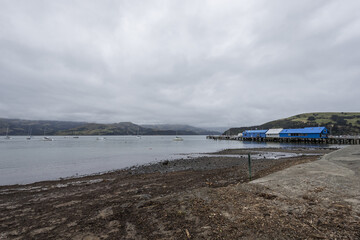 View of a serene harbor with a pier stretching into the calm water under a cloudy sky, contrasting with the dark, seaweed-strewn shore, Christchurch, Canterbury Region, New Zealand.