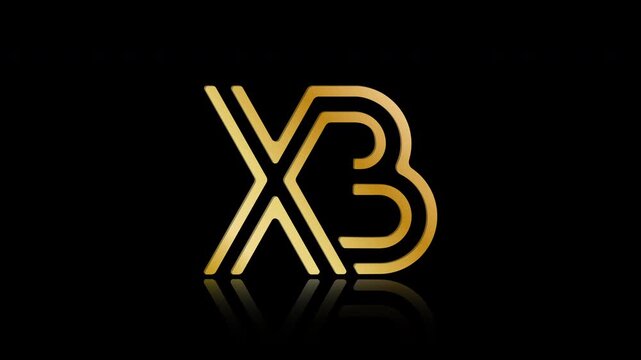 Stylized lowercase X and B with reflections, connected by a single line. Idea for a logo, emblem, or creative design