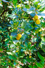 Parque Nacional de Cabañeros Centro de interpretación