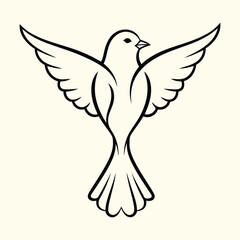 Dove with outstretched wings isolated on, symbol of peace