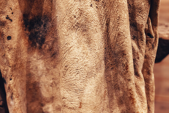 Close-up of traditional wineskin made from goat leather, showing natural rough texture and handcrafted surface used in ancient winemaking traditions