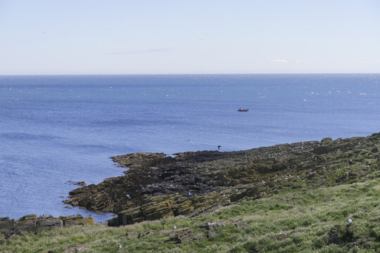 View of rugged, rocky coastline meets the vast expanse of the blue sea under a clear sky, with a small boat visible in the distance, Isle of May, Scotland, United Kingdom. - Powered by Adobe