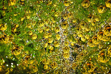 Golden Christmas decorations on the Christmas tree close up, new year background