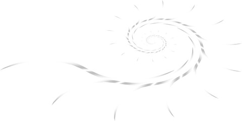 Abstract black and white floral swirl illustration vector design background with curve and spiral pattern decoration element