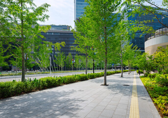 Fototapeta premium 梅田の風景