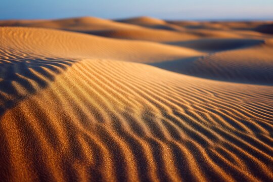 A landscape view of sand dunes with visible ripples and a clear blue sky in the background at daytime