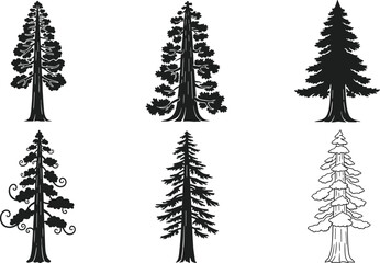 Majestic Redwood and Sequoia Tree Silhouettes Vector Set, Giant Conifer Forest Graphics, Tall Evergreen Nature Elements, National Park and Wilderness Preservation Design Collection.
