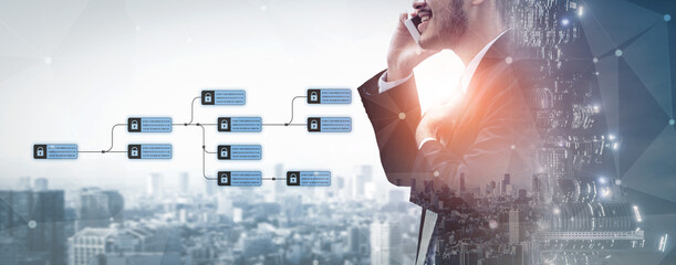 Blockchain structure showing distributed data blocks linked with encryption, representing secure transaction verification, decentralized control, and immutable record system Vouch