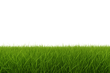 Lush green grass blades with sharp tips against a dark void isolated on a transparent background lawn, cutout, PNG isolated on white or transparent background
