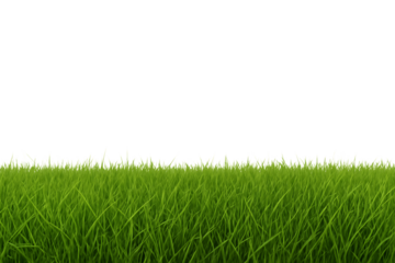Lush green grass blades with sharp tips against a dark void isolated on a transparent background lawn, cutout, PNG isolated on white or transparent background