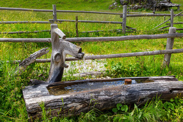 Man-made wellspring in mountain meadow close-up
