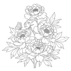 Fototapeta premium A detailed black and white illustration of peonies and leaves with a butterfly, showcasing intricate floral beauty from a close-up viewpoint.