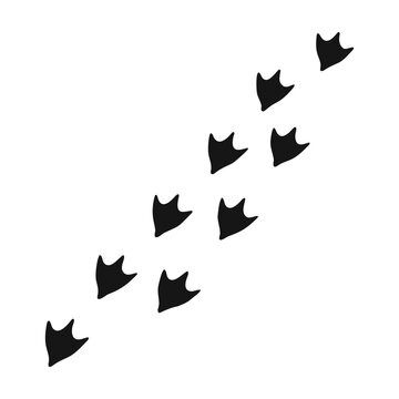 Playful Blue Duck Footprints Marching Diagonally Across Clean White Background