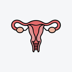 Uterus and Ovaries Minimal Line Art Icon of Female Reproductive System