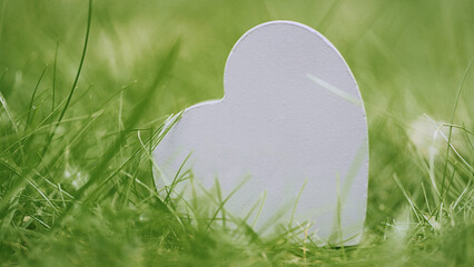 Heart-shaped decoration set against lush green grass during a sunny day in a serene outdoor setting.
