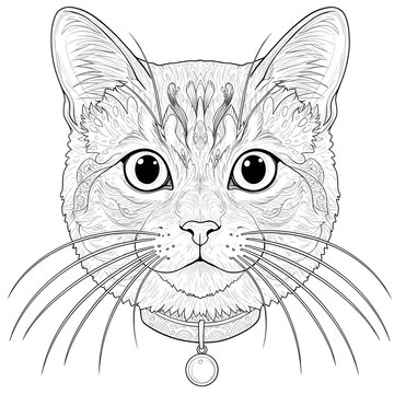 Intricate line art drawing of a domestic cat's face with delicate patterns, ideal for mindful coloring pages or elegant decorative animal-themed projects