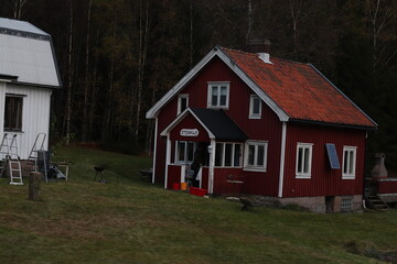 Obraz premium Traditional red wooden Scandinavian house with white window frames — rural architecture in natural surroundings