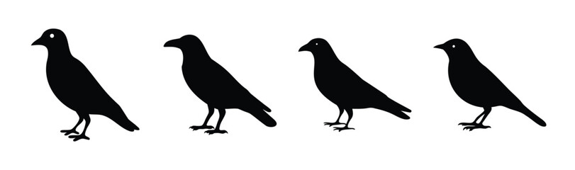 Fototapeta premium Four black bird silhouettes standing as simple avian icons