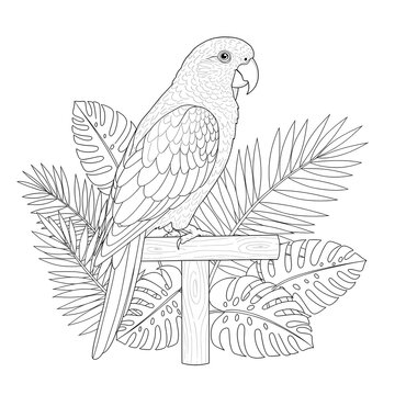 Detailed Line Art Illustration of a Tropical Parrot Perched on a Wooden Sign Amidst Exotic Leaves, Perfect for a Relaxing Coloring Book Activity for All Ages