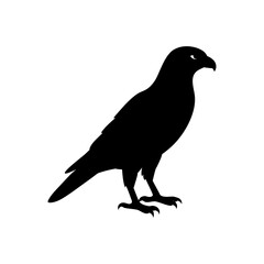 silhouette of a bird