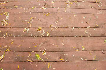 Naklejka premium Bright yellow and brown leaves lie on the surface of a wooden deck during the fall season. The leaves add a touch of nature and beauty to the outdoor space.