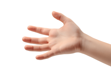 Child's hand, open, palm up, profile view