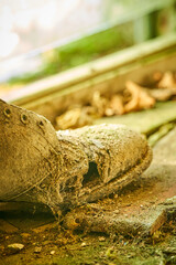 vintage mouldy shoe abandoned house interior