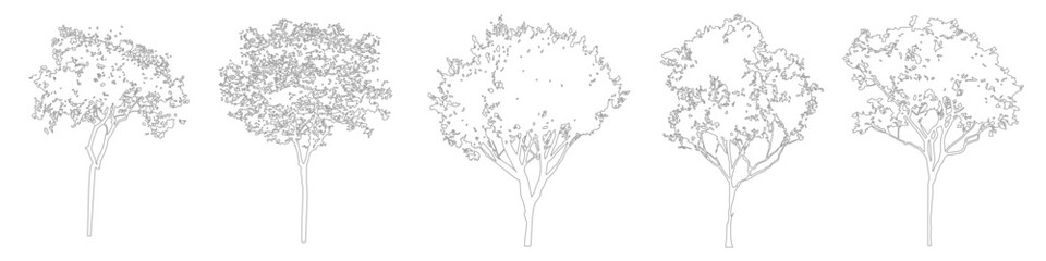 Architectural Tree Outline Graphics, Minimal CAD Line Symbols for Site and Floor Plans © Richardson