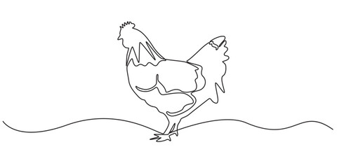 Self drawing of continuous one line drawing chicken foraging for food. National Farm Animals Day. Continuous line design graphic illustration, Full length single line, minimalist.