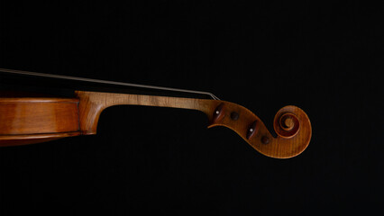 Violin neck with scroll detail showcasing craftsmanship in a dark setting.