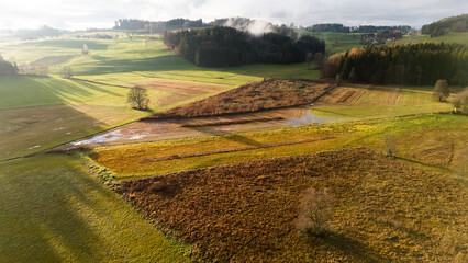 Aerial Top-Down View of Green Field with Crop Rows