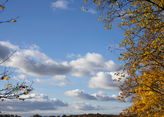 autumn sunny day, 