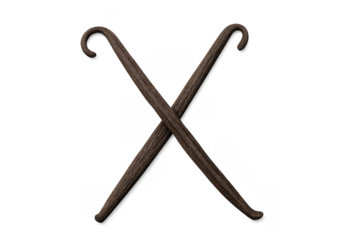 Vanilla beans crossing on transparent background