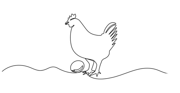 Self drawing animation of continuous one line drawing chicken foraging for food. National Farm Animals Day. Continuous line design graphic illustration, Full length single line animation, minimalist. - Powered by Adobe